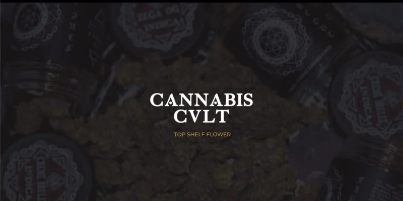 Cannabis plant in a controlled cultivation environment