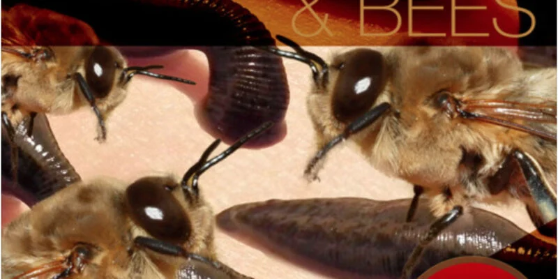 Close-up view of leeches and bees interacting in nature